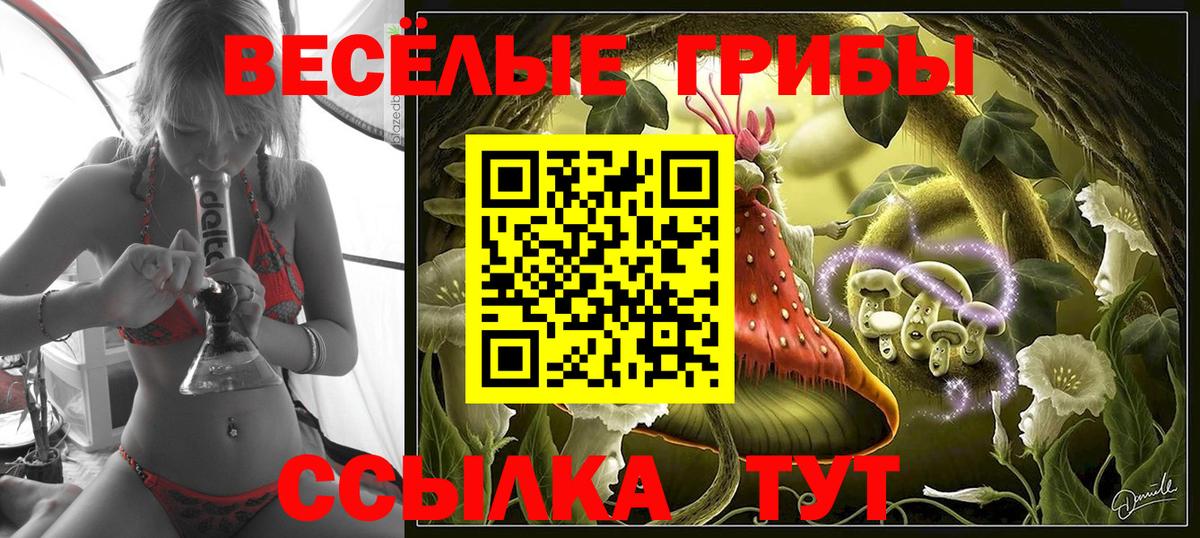 Псилоцибиновые грибы GOLDEN TEACHER Волоколамск